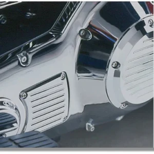 FL/FXR INSPECTION COVER FLAME
