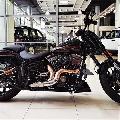 EVO & Big Twin Chrome/Copper - Image 6