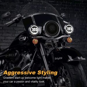Pinsker 7″  LED Headlights for Harley Davidson